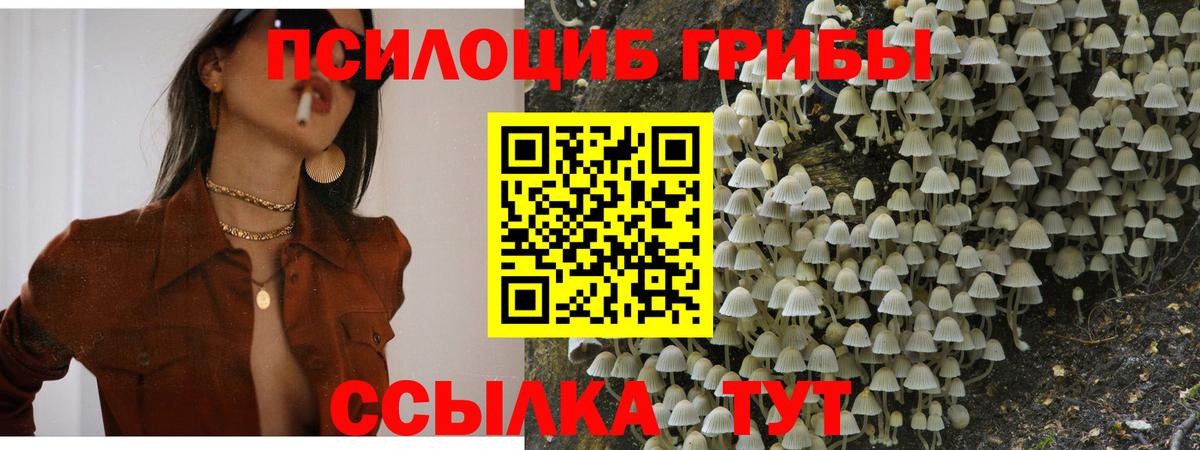 Псилоцибиновые грибы мицелий  Галлюциногенные грибы Cubensis  Вход с VPN  Сергиев Посад 
